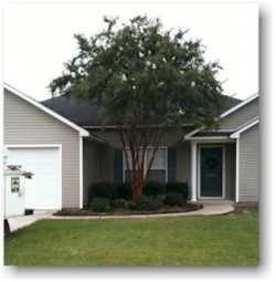 Proper Tree Pruning AFTER Proper Tree Pruning AFTER